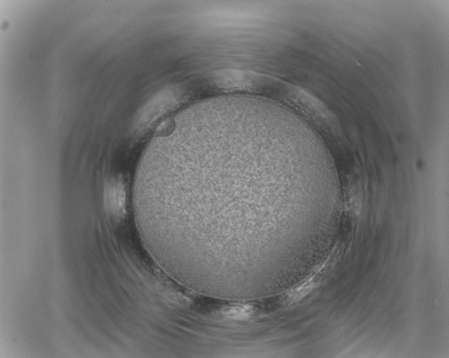 X0000067870124200604171234