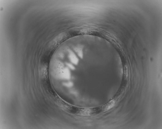 X0000067870127200604171234