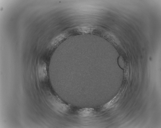 X0000067870128200604171234