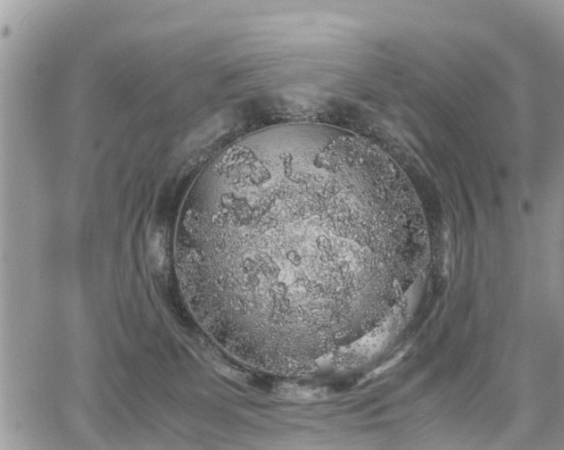 X0000067870131200604171234