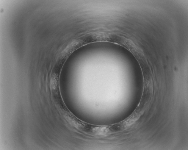 X0000067870133200604171234