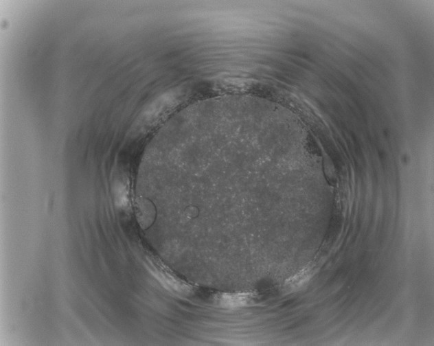 X0000067870134200604171234