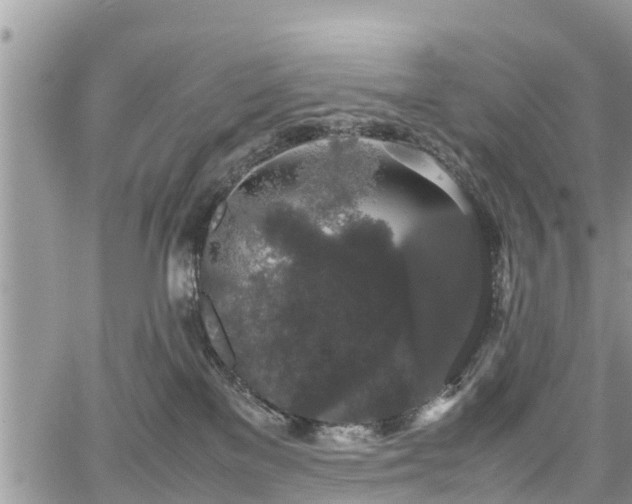 X0000067870137200604171234