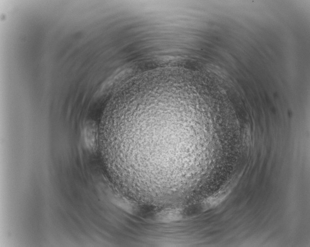 X0000067870138200604171234