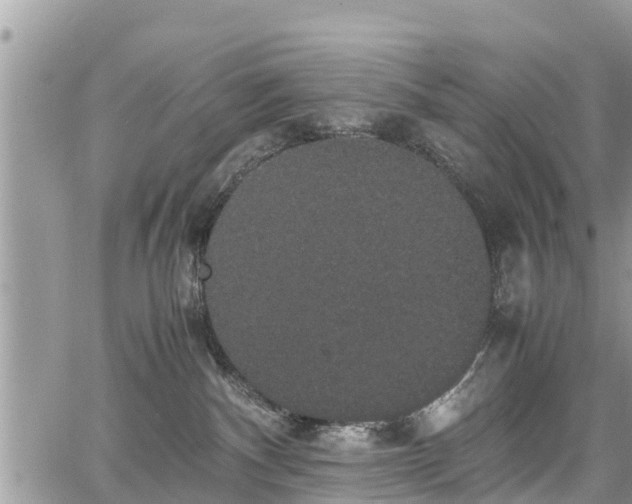 X0000067870140200604171233