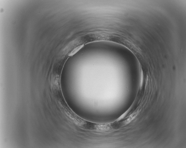 X0000067870141200604171233