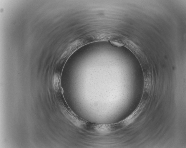 X0000067870142200604171233