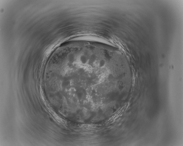 X0000067870145200604171233