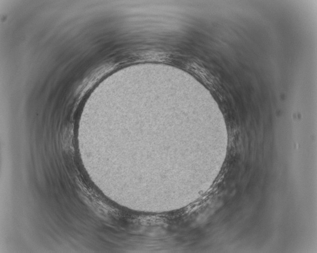 X0000067870146200604171233