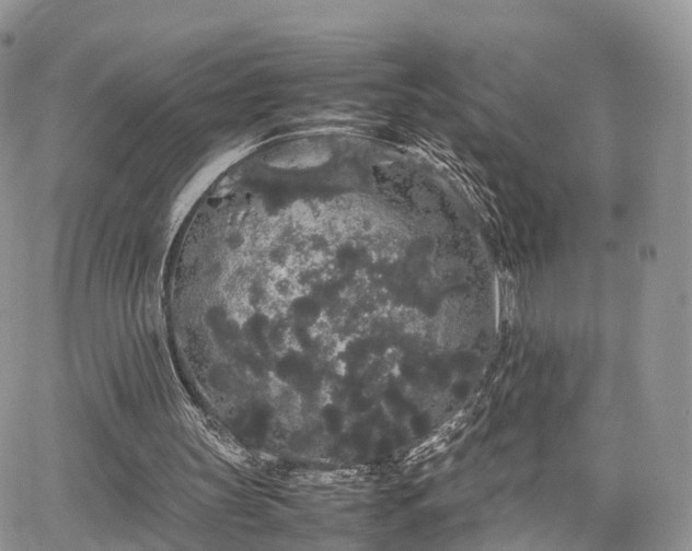 X0000067870147200604171233