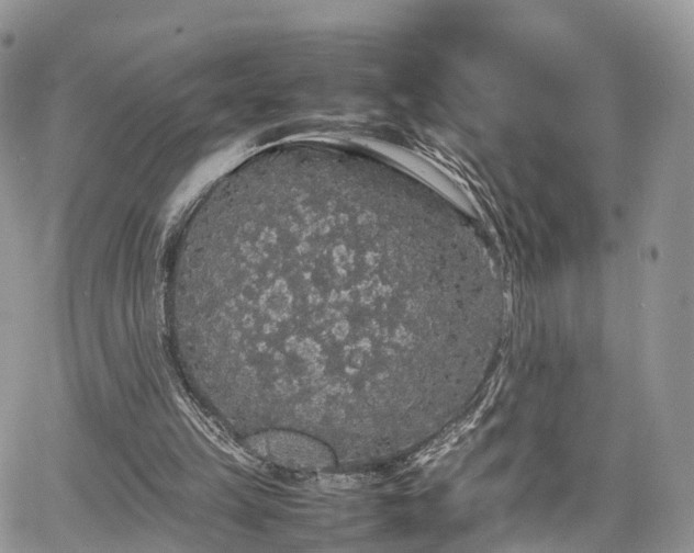 X0000067870149200604171233