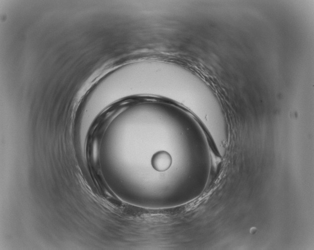 X0000067870150200604171233