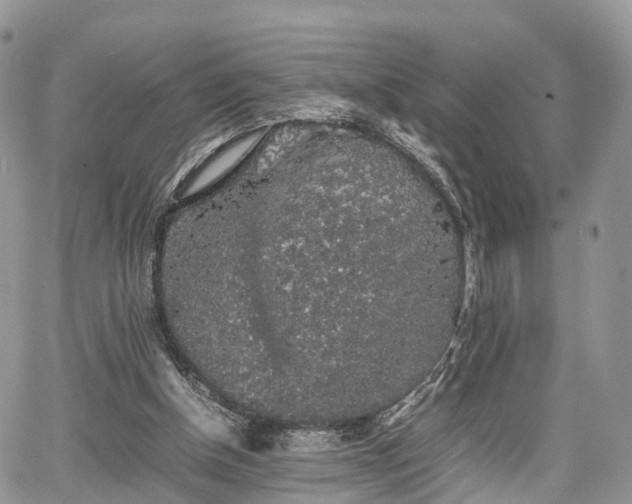 X0000067870154200604171233