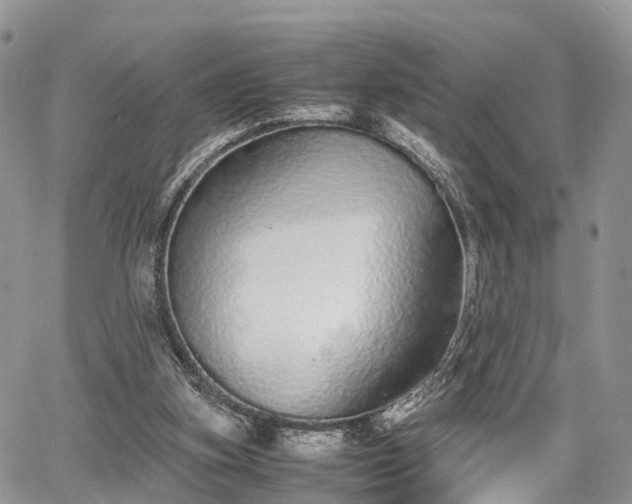 X0000067870155200604171233