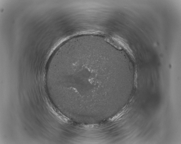 X0000067870156200604171233