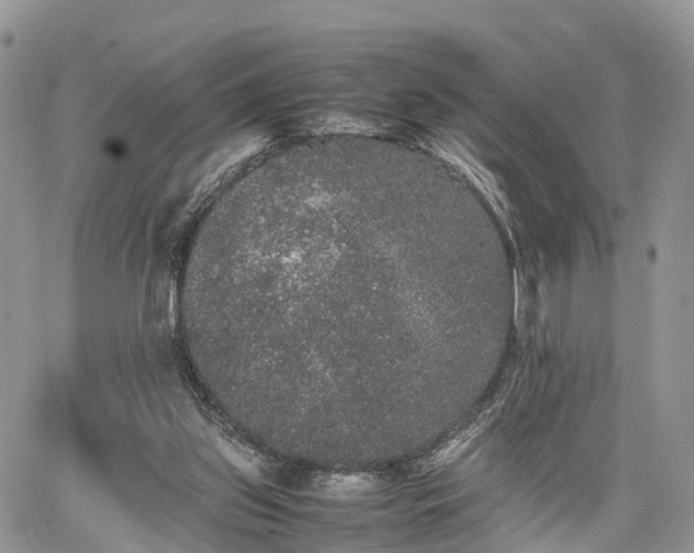 X0000067870157200604171233