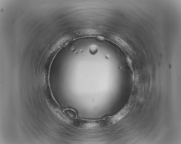 X0000067870158200604171233