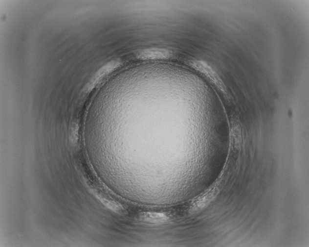 X0000067870159200604171233