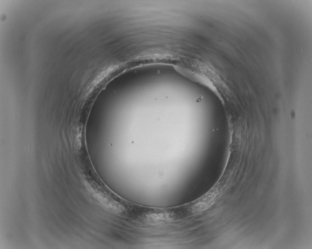 X0000067870160200604171233