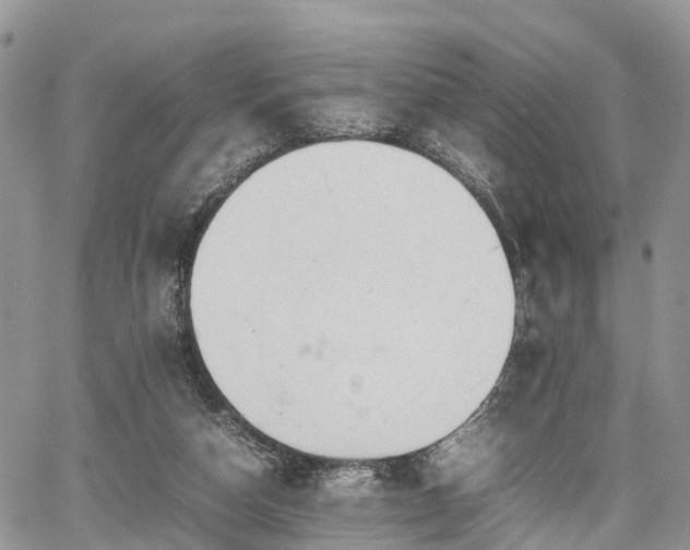 X0000067870162200604171233