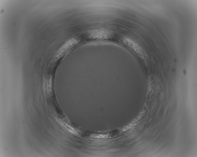 X0000067870163200604171233