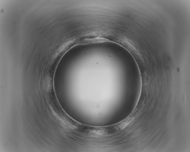 X0000067870164200604171233