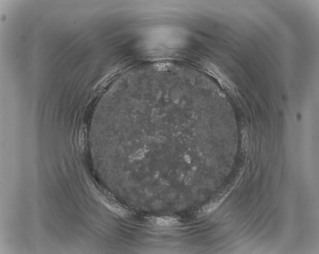 X0000067870165200604171233