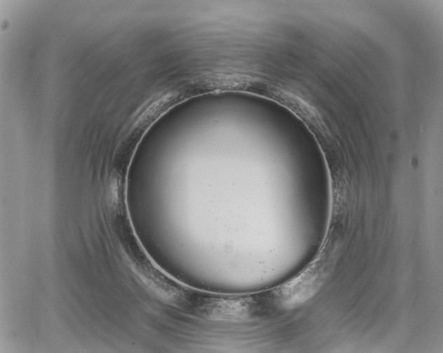 X0000067870166200604171233