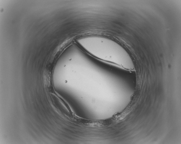 X0000067870168200604171233