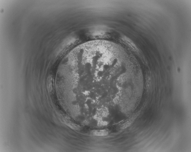 X0000067870169200604171233