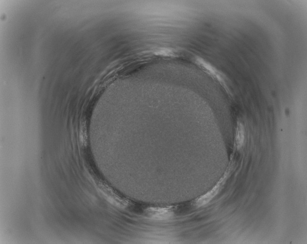 X0000067870170200604171233