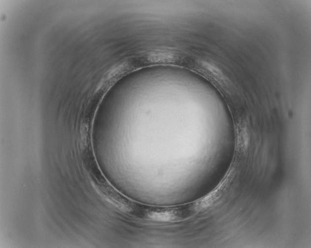 X0000067870171200604171233