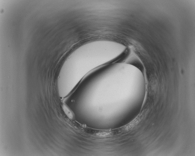 X0000067870172200604171233