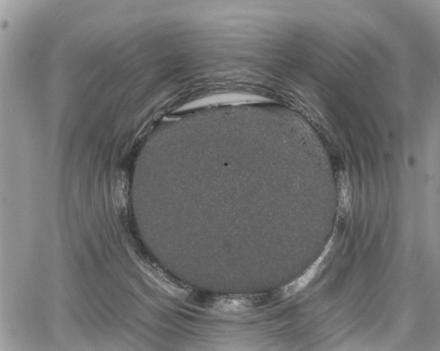 X0000067870174200604171233