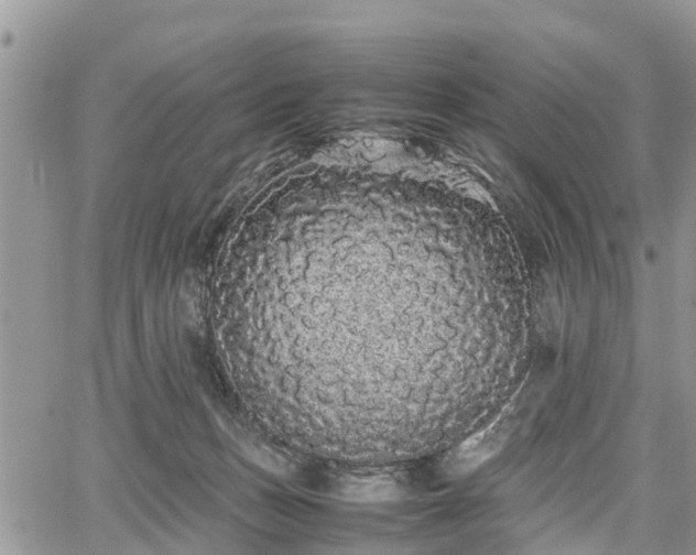 X0000067870175200604171233