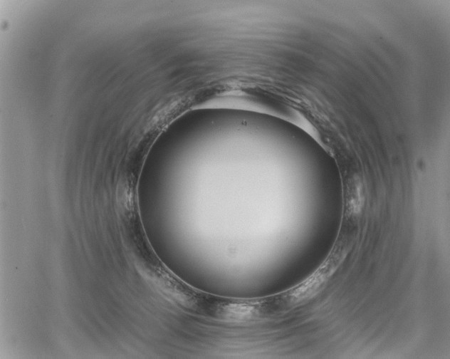 X0000067870176200604171233