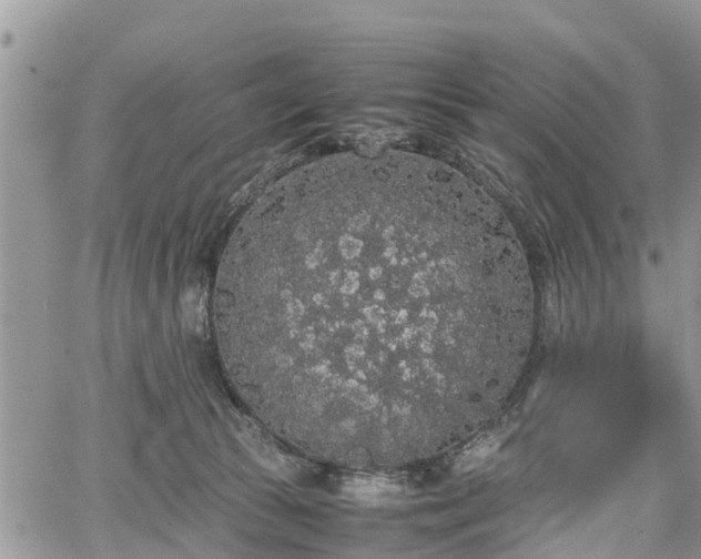 X0000067870177200604171233