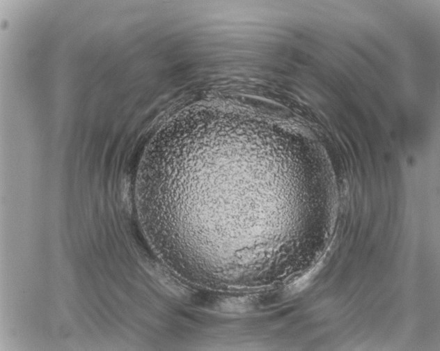 X0000067870178200604171233