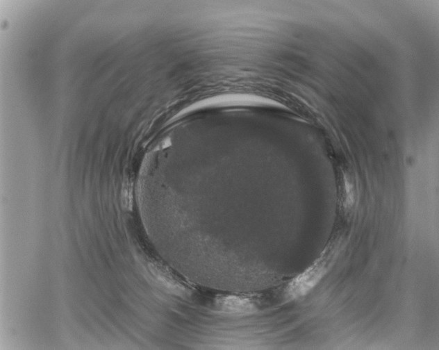 X0000067870180200604171233