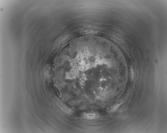 X0000067870181200604171233