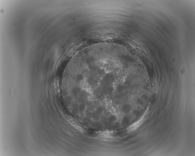 X0000067870182200604171233