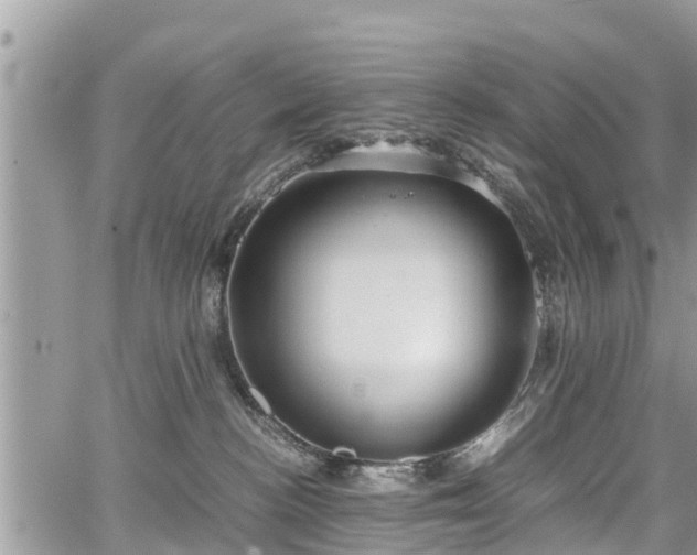 X0000067870188200604171233