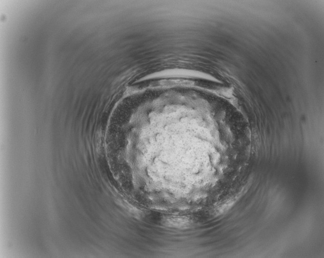 X0000067870189200604171233