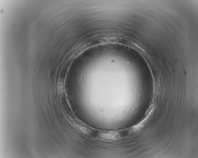 X0000067870191200604171233