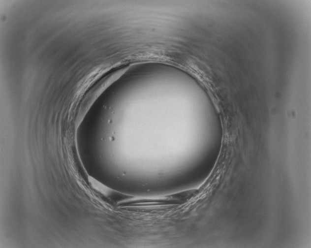 X0000067870193200604171233