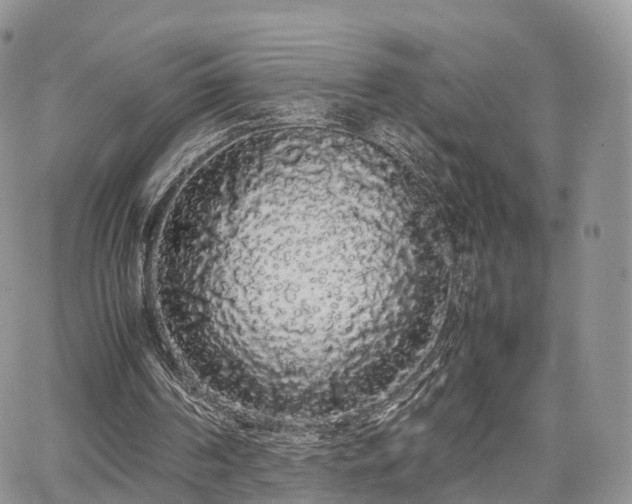 X0000067870194200604171232