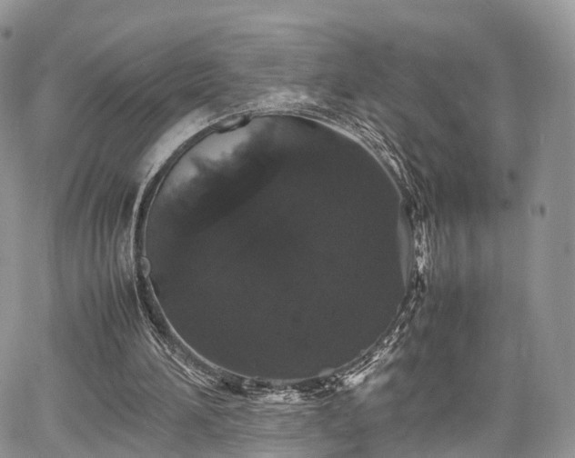 X0000067870196200604171232