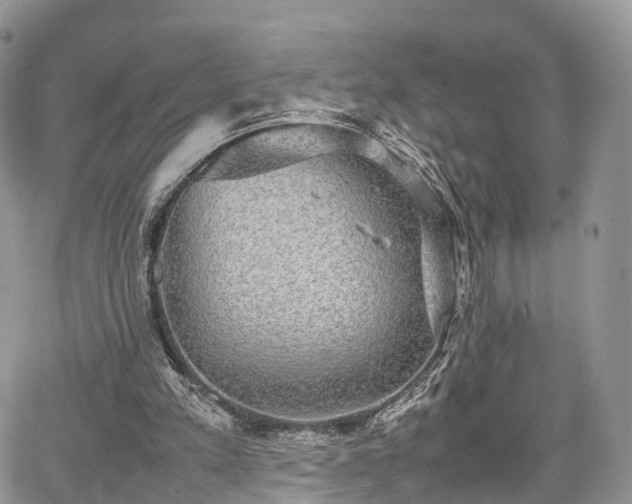 X0000067870197200604171232