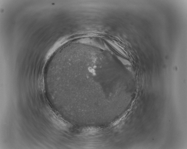 X0000067870198200604171232