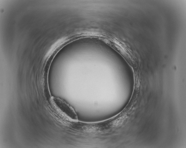 X0000067870199200604171232